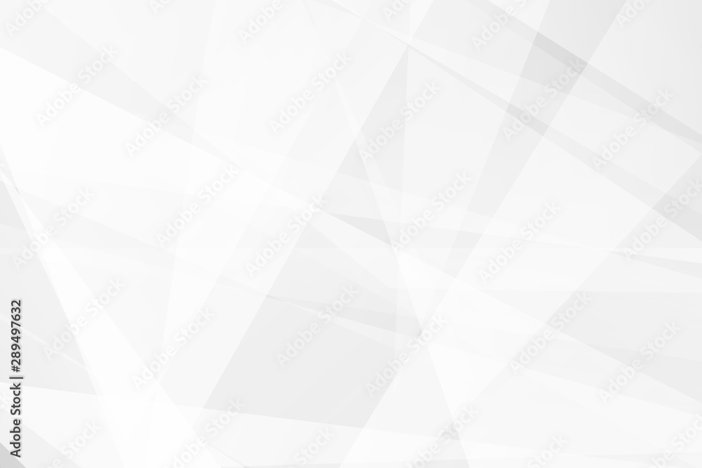 Fototapeta premium Abstract white and grey on light silver background modern design. Vector illustration EPS 10.