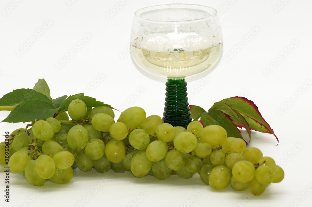Frische Weinrebe freigestellt auf weißem Hintergrund Frische Weinrebe freigestellt auf weißem Hintergrund