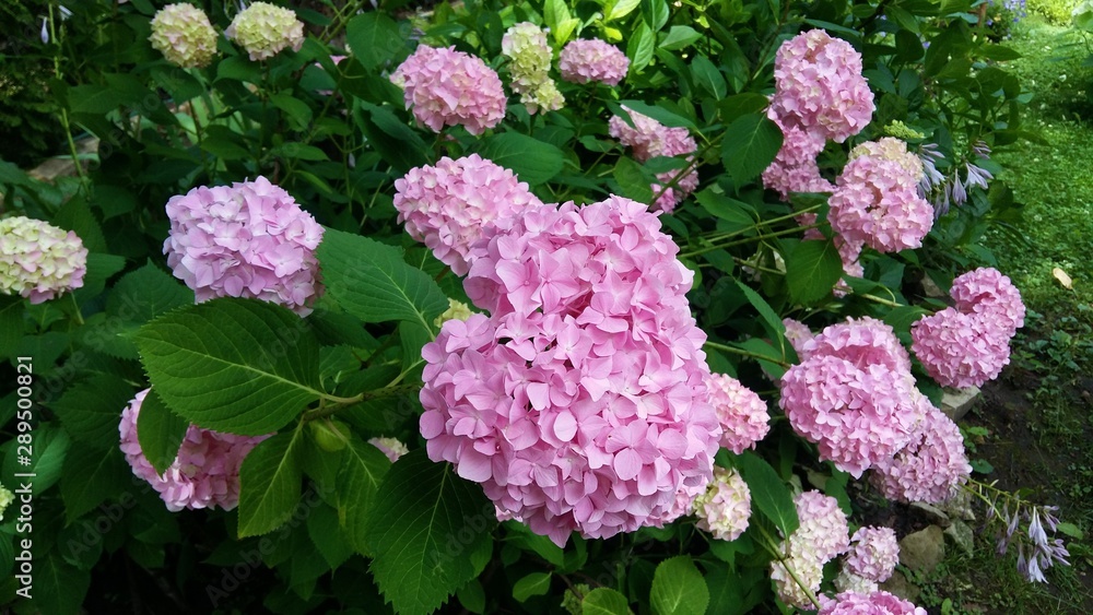 bright flashes of summer (яркие вспышки лета) bright flashes of summer (яркие вспышки лета)