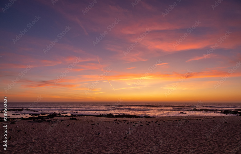 Wide shot over beach at dusk, with beautiful vivid purple orange gradient sky and seagulls resting on sand