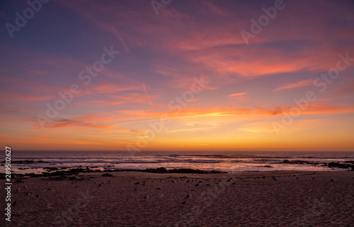 Wide shot over beach at dusk, with beautiful vivid purple orange gradient sky and seagulls resting on sand