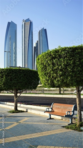 close up view on trees and modern towers
