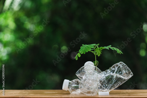 Plants inside plastic bottle  on wooden in nature background. global warming concept.