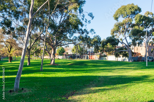 Ievers Reserve off Flemington Road in Parkville, Melbourne. photo