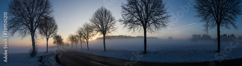 Panorama Winterlandschaft: schmale Allee durch Nebel über dem Schnee bei Sonnenaufgang