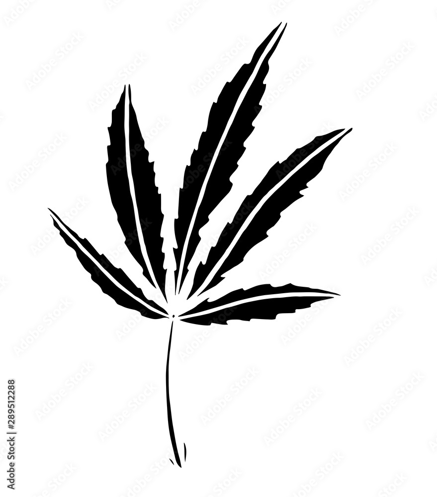 Decorative black trafaret leave of big hemp Decorative black trafaret leave of big hemp