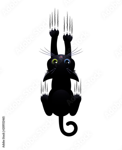 Black cat with eyes of different colors scratches white background. Cute cartoon character. Vector illustration.