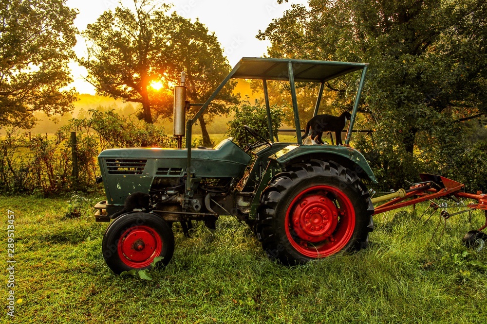 Obraz premium Selective Soft Focus of an Antique Obsolete Tractor in a field at sunrise