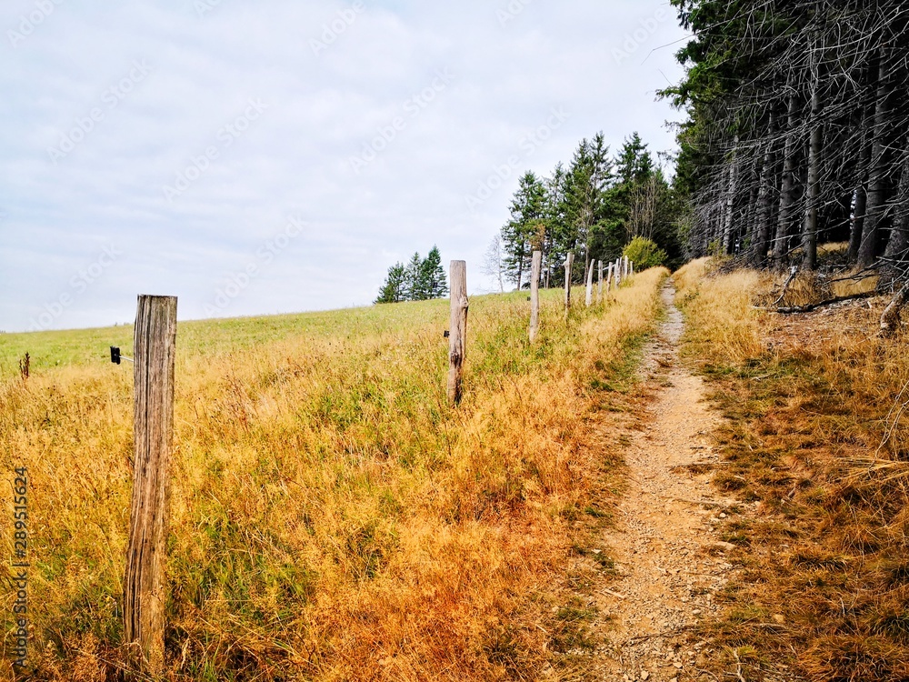 Fototapeta premium wooden fence in the countryside