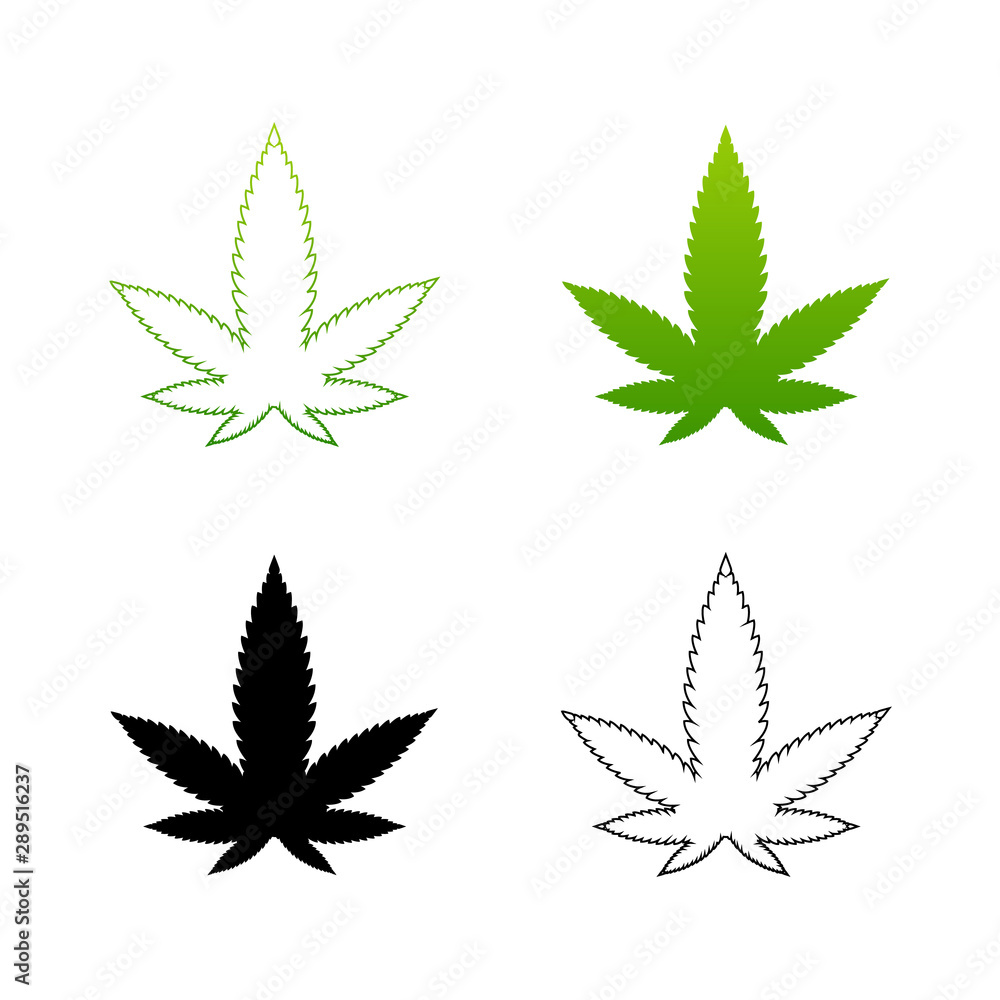Cannabis leaves on white background Cannabis leaves on white background