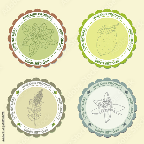 Tea collection.Vector hand drawn illustration of different ingredients for a nice tea drinking. Herbs, spices and fruits on flyer labels