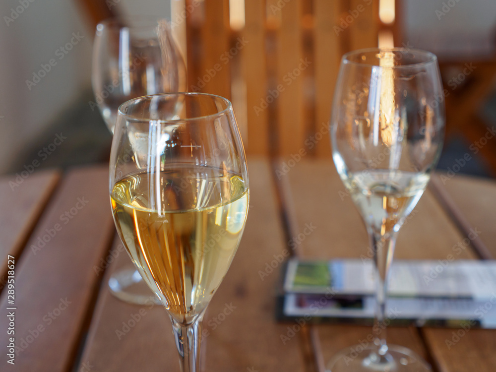 Closeup detail of multiple glasses of sparkling and white wines on a wooden table during a tasting session at a winery. Nanstallon, Bodmin, England. Travel and Cornish wine industry.