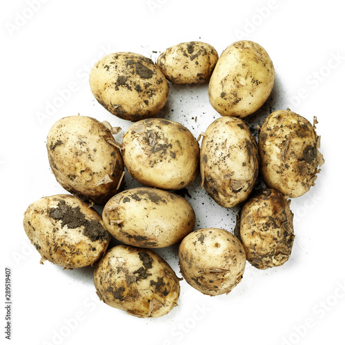 young potato bunch isolated