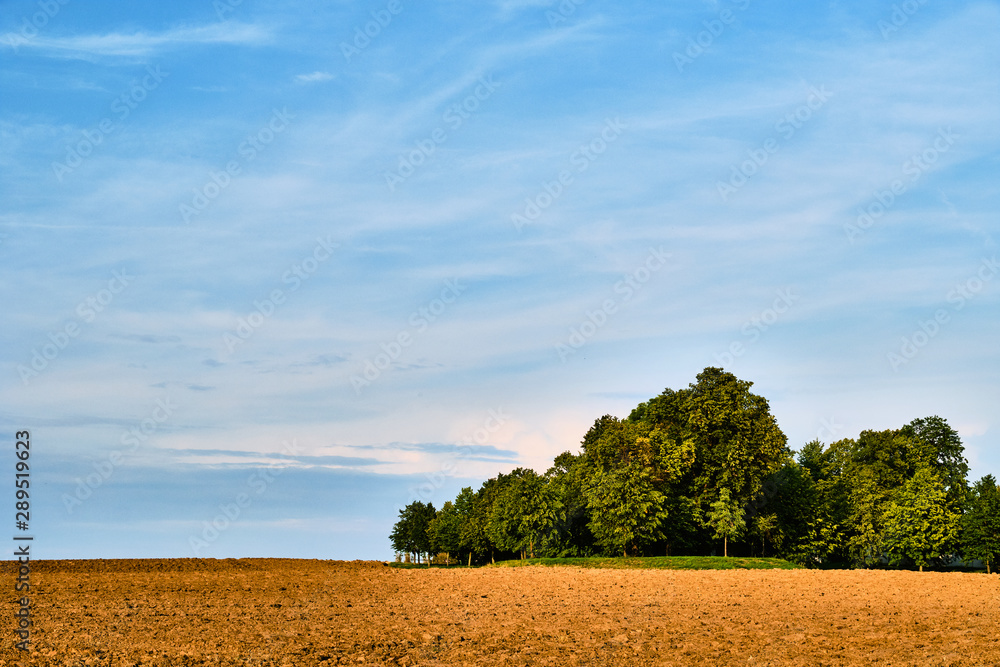 Obraz premium Brown field by trees at the edge of Prague