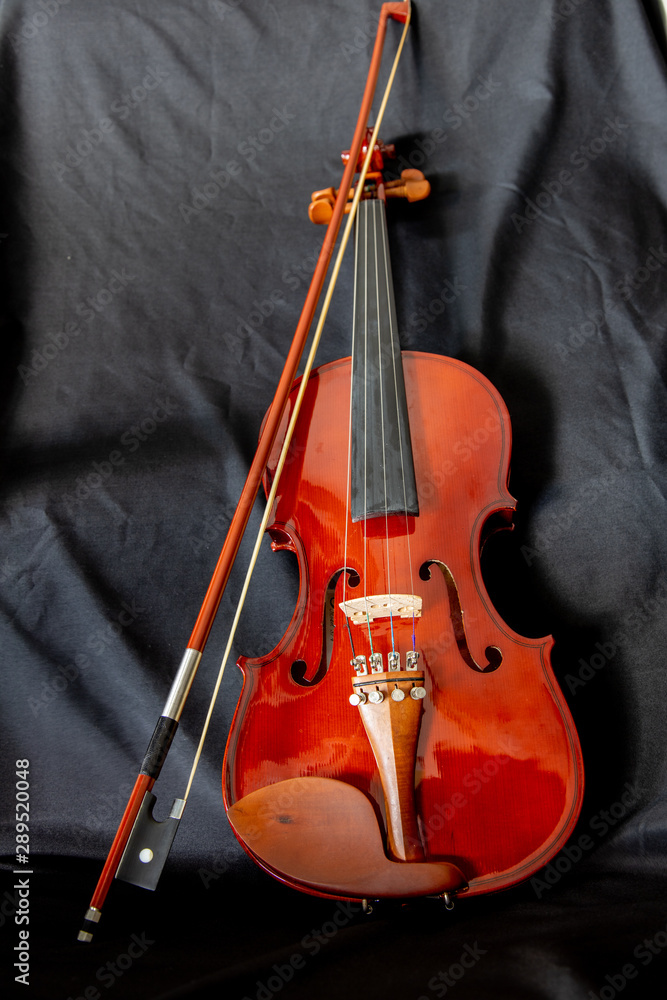 Fototapeta premium violin and bow on black background