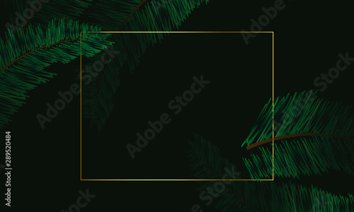 lovely natural topical Leaves background