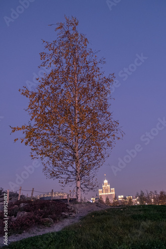 Zaryadye Park overlooking the Moscow Kremlin and St Basil's Cathedral, Russia. Zaryadye is a new tourist attraction of Moscow. Panoramic scenic view of the Moscow central park and garden in summer. photo