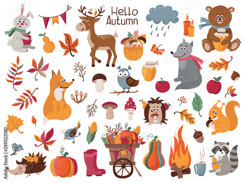 Big set of autumn herbs, leaves and forest animals