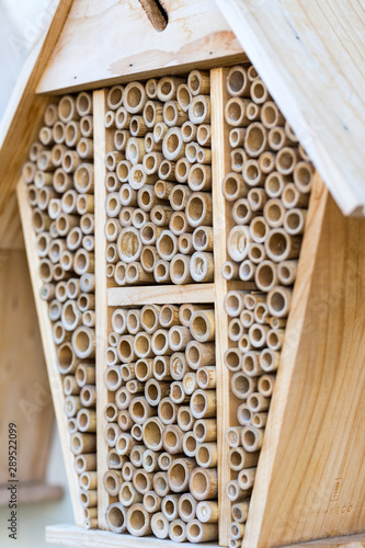 Bee hotel habitat boxes filled with hollow tubes © ecummings00