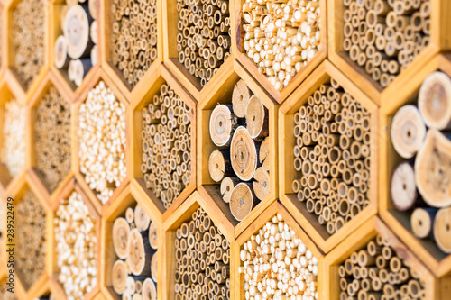 Geometric patterns bee hotel habitats with hollow tubes photo