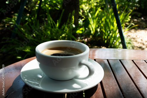 Morning cup of coffee and nature on green background .