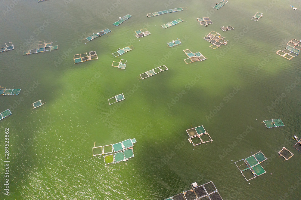 Fish farm with cages for fish and shrimp on the lake Taal, top view. Fish  cage for tilapia, milkfish farming aquaculture or pisciculture practices.  Philippines, Luzon. Stock Photo