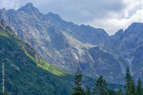 View of the alpine mountains on a sunny summer day. A beautiful picture of the sky, mountains and forest.