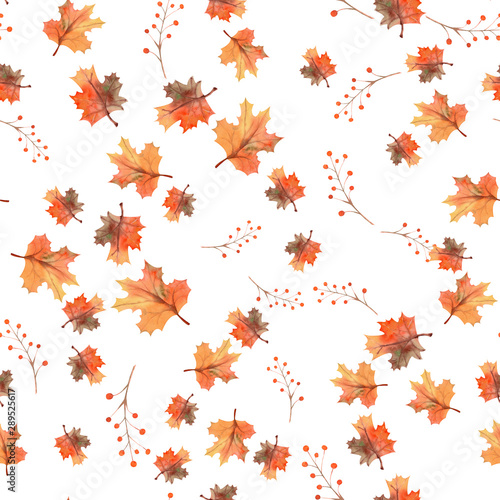 Seamless autumn leaves background, berries on white isolated background. Watercolor illustration