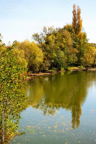 Beautiful autumn at forest lake in Ile-de-France  France.  Golden leaves  trees  blue sky reflection in calm water. Eco planet concept. Seasonal fall background.