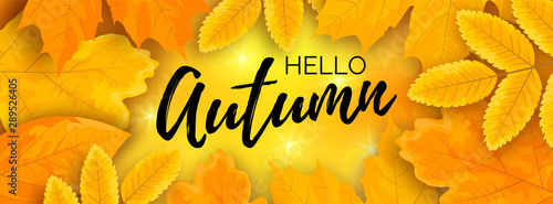Horizontal hello autumn shiny banner