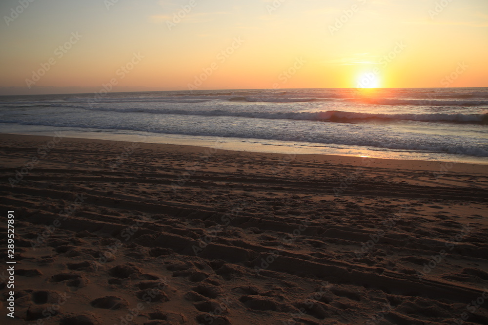 Obraz premium Landas Surf