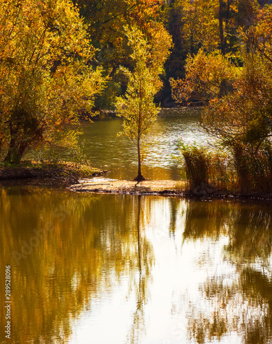 Beautiful autumn landscape with a tree on the small island on lake in the forest. Ile-de-France, France. Nature season background. Wanderlust concept.