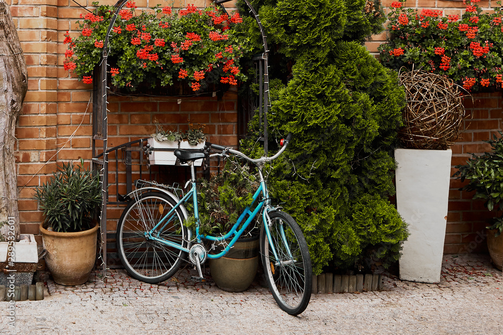 Retro bicycle on brick wall with flowers, vintage bike, old town.