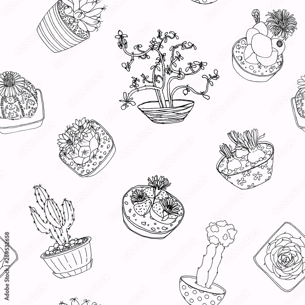 Seamless pattern from handdrawn botanical illustration of cactuses in ink contour
