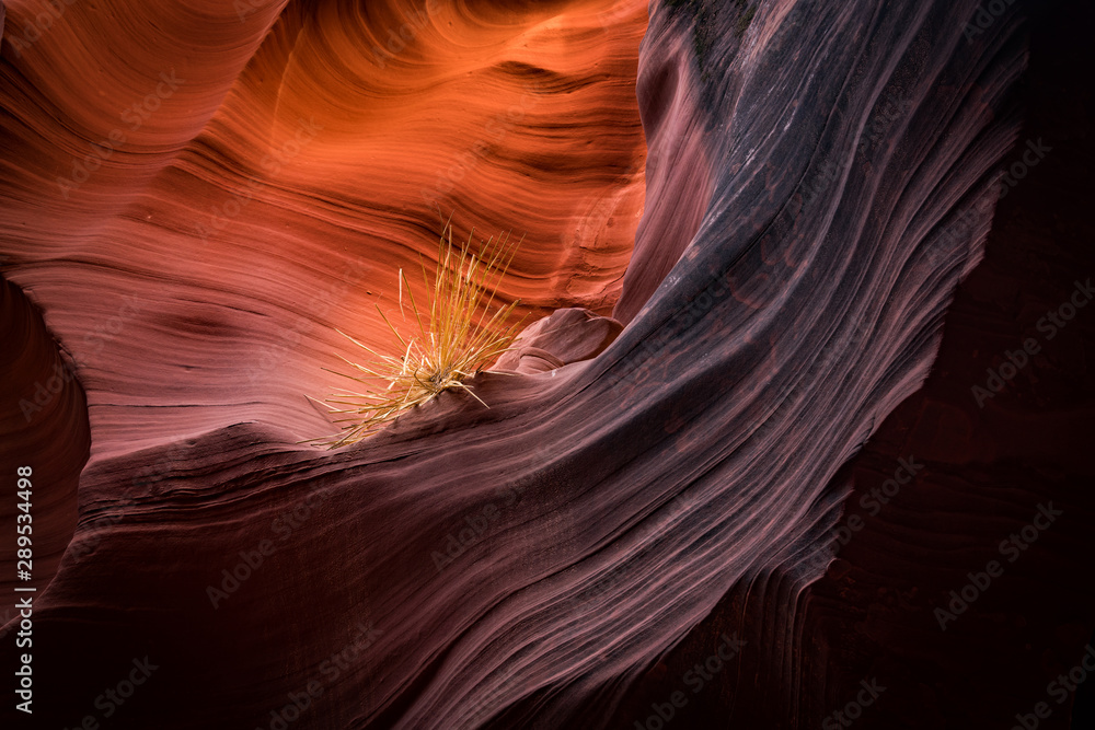 Fototapeta premium Slot Canyon, Page Arizona USA