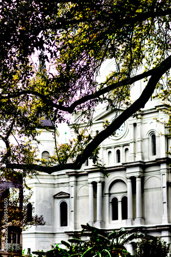 Wallpaper Mural tree in front of church Torontodigital.ca