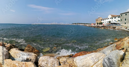 seaside and pines in cecina beach photo