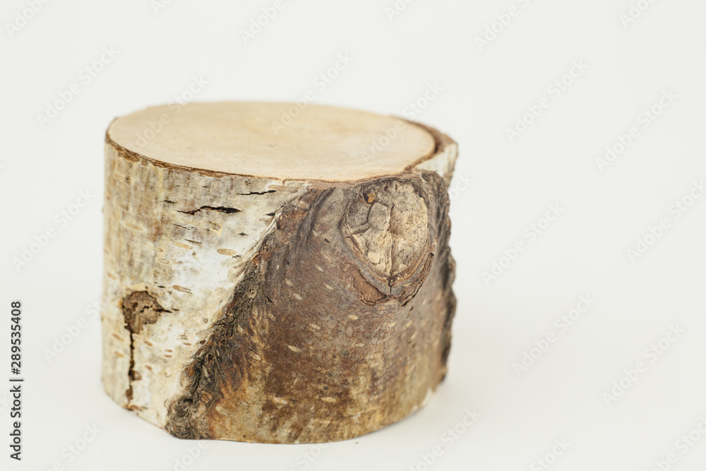 Obraz premium birch tree miniature