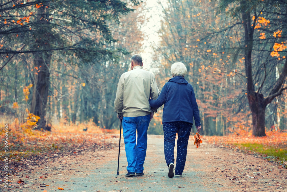 Senior couple walking in an autumn park. - obrazy, fototapety, plakaty 