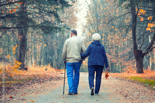 Senior couple walking in an autumn park.