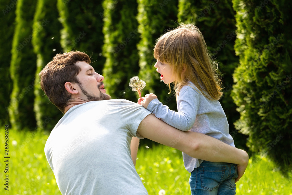 Fototapeta premium Dad and child blowing dandelion flowers to each other.