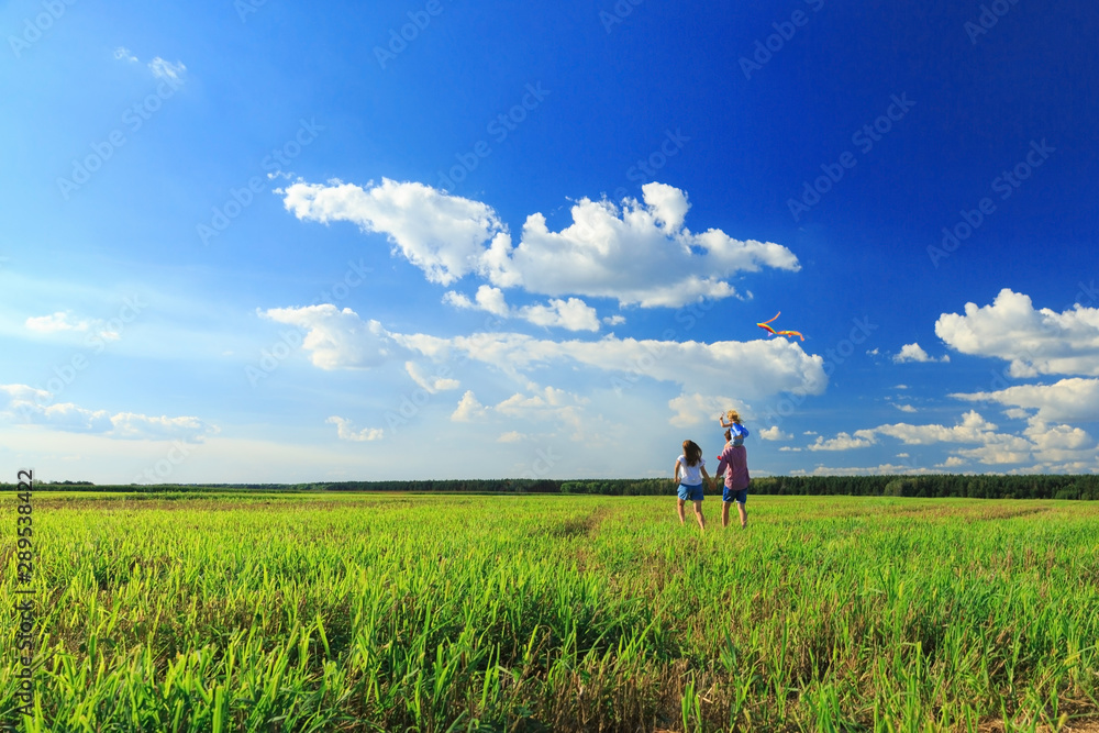 Mother, father and daughter are flying a kite in the field. back view, copy space. Mother, father and daughter are flying a kite in the field. back view, copy space.