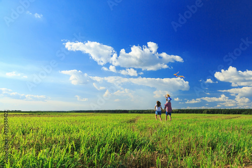 Mother, father and daughter are flying a kite in the field. back view, copy space. © AnastazjaSoroka