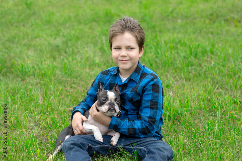 Cheerful and happy boy in a plaid shirt playing with a dog breed Boston Terrier on the green grass in the summer.
