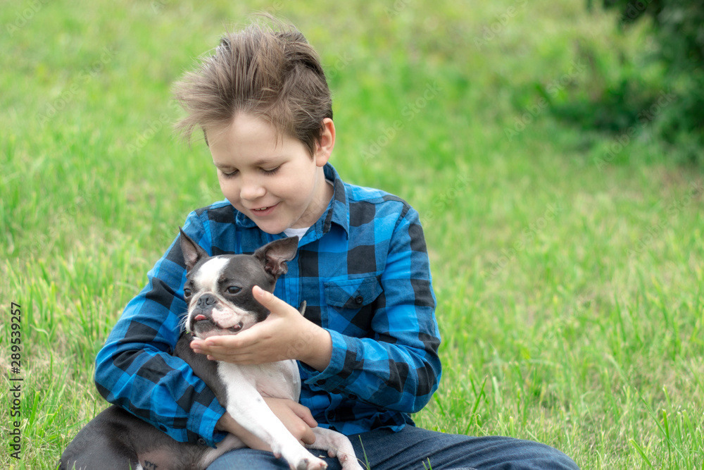 Cheerful and happy boy in a plaid shirt playing with a dog breed Boston Terrier on the green grass in the summer. Cheerful and happy boy in a plaid shirt playing with a dog breed Boston Terrier on the green grass in the summer.