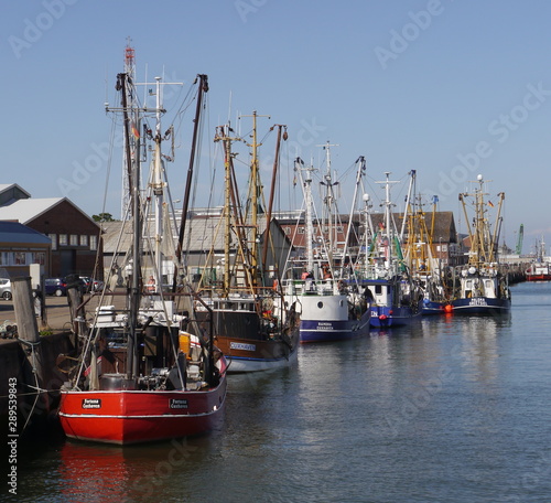 Krabbenkutter im alten Fischereihafen Cuxhaven Nordsee photo