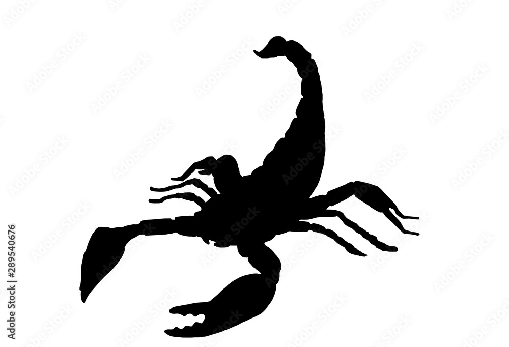 Graphical scorpion silhouette isolated on white background, vector ...