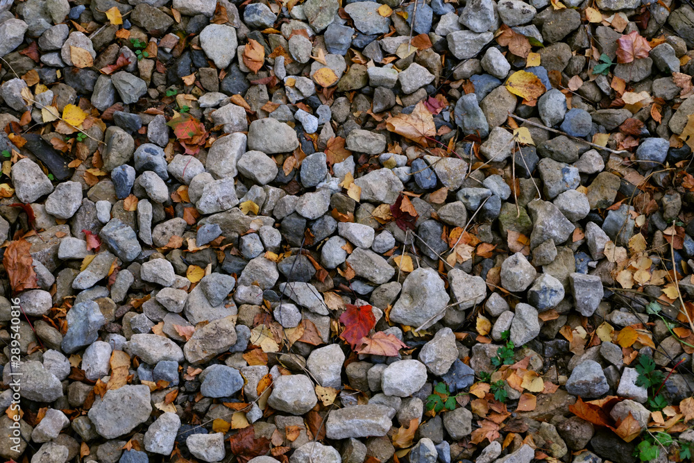 Autumn stones Autumn stones
