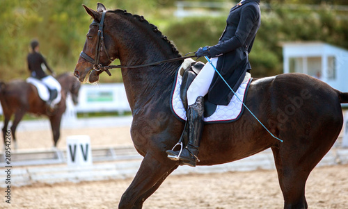 A bay brown sports horse with a bridle and a rider riding with his foot in a boot with a spur in a stirrup.
