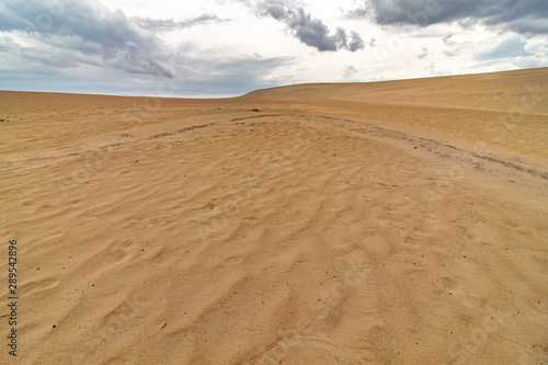 Sand Dunes  Jockeys Ridge North Carolina